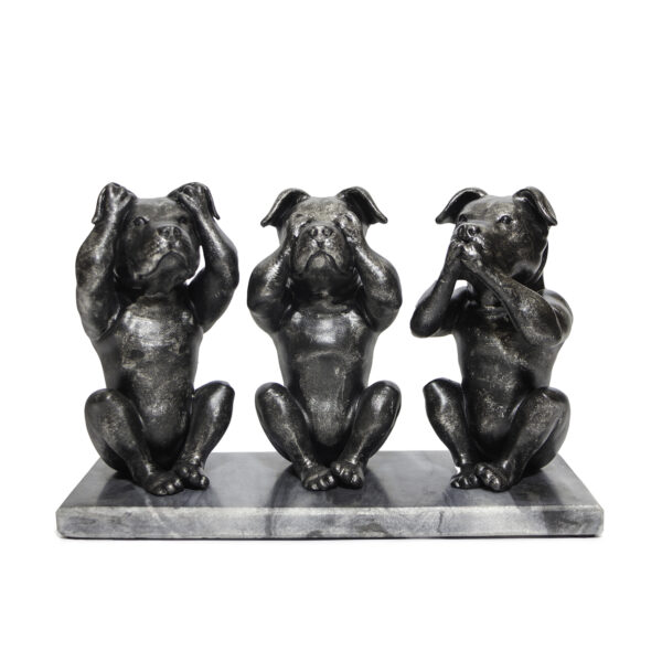 AM stafford/pitbull - Hear See and Speak no evil