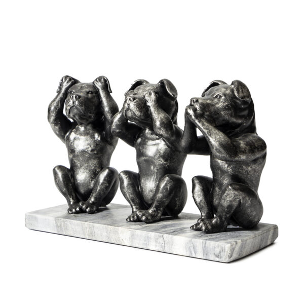 AM stafford/pitbull - Hear See and Speak no evil - Afbeelding 2