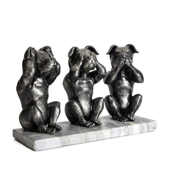 AM stafford/pitbull - Hear See and Speak no evil - Afbeelding 4