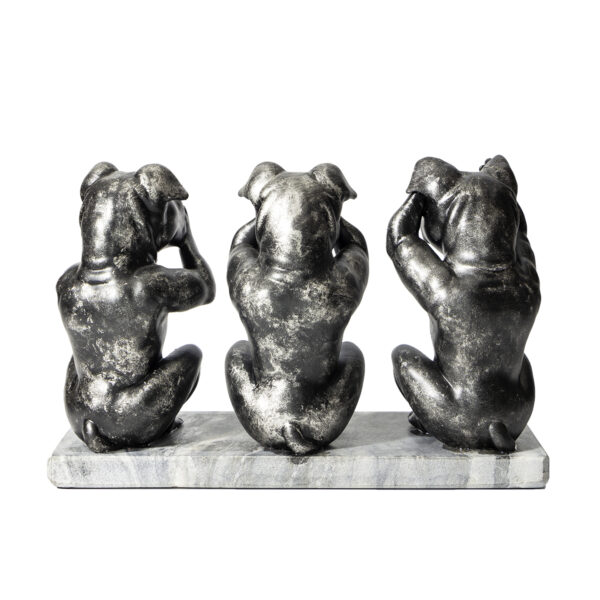AM stafford/pitbull - Hear See and Speak no evil - Afbeelding 3