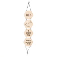 Geboorte ladder
