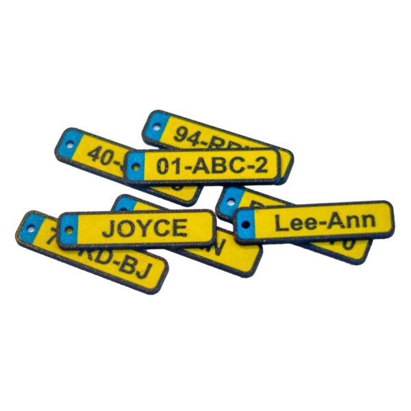 Gepersonaliseerde Kenteken Sleutelhanger - Afbeelding 2
